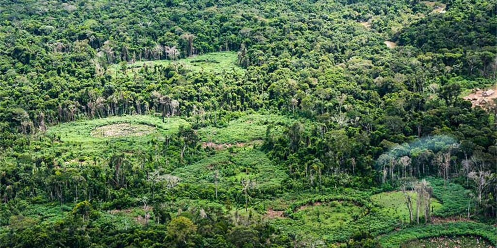 Amazônia: indígenas catalogam espécies para proteger biodiversidade