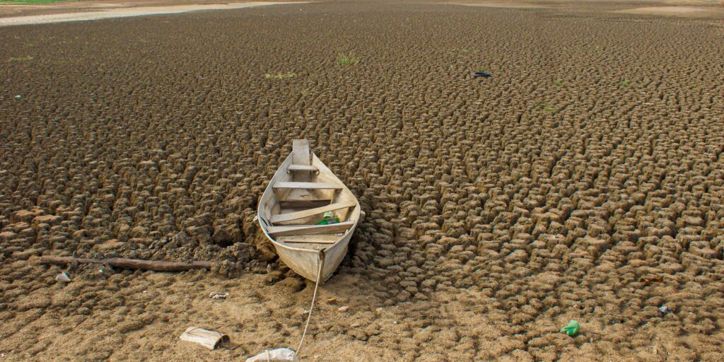 Brasil promete restaurar 163 mil km² de terras degradadas até 2030