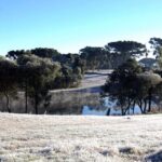 Cidades do PR terão frio de 0°C e geada neste fim de semana; veja onde