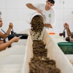 Consulta sobre bens sustentáveis no acordo Mercosul–UE acaba na quarta