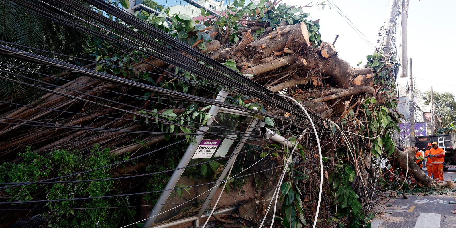 Eventos climáticos extremos desafiam concessionárias de energia