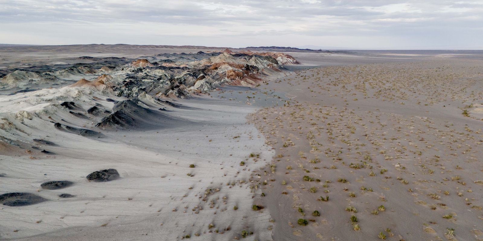 Fungos podem restaurar terras degradadas e combater crise climática