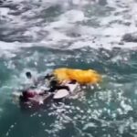 Parapente cai em São Conrado, no Rio, e mata coronel - 29/08/2026 - Cotidiano