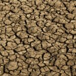 Risco de desertificação no Brasil ameaça segurança hídrica e alimentar