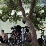 Temperaturas em São Paulo voltam a subir a partir de quarta-feira