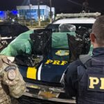 Após fuga por 35 Km, PRF apreende 35 Kg de skunk e detém quatro suspeitos de tráfico em Moreno