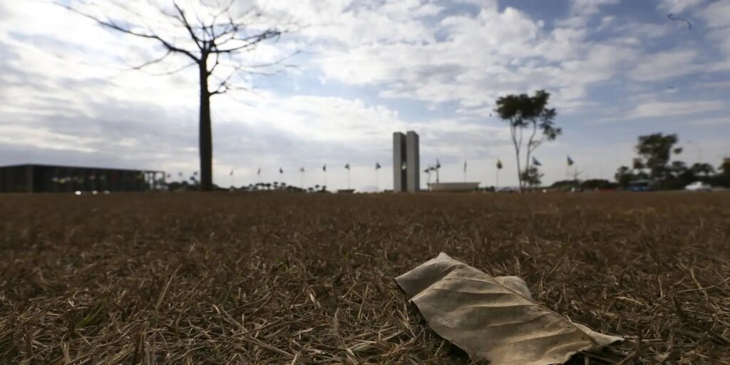 Aquecimento além de 1,5°C ameaça saúde, agricultura e economia