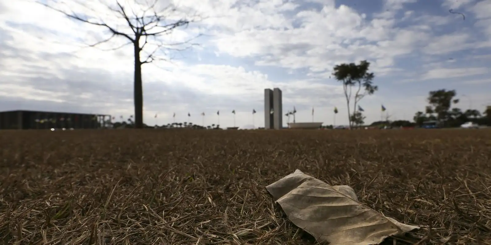 Aquecimento além de 1,5°C ameaça saúde, agricultura e economia