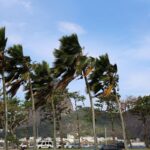 Defesa Civil alerta para ventos fortes na cidade do Rio