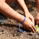 Entidades pedem apoio de candidatos em defesa da agroecologia