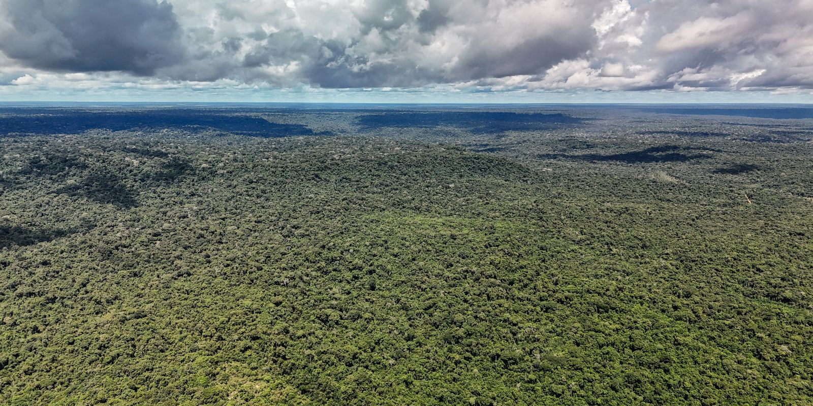 Fazenda autoriza crédito de US$ 1 bilhão do BID para Eco Invest Brasil