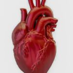 A cada 72 segundos, uma pessoa morre por doença cardiovascular no país