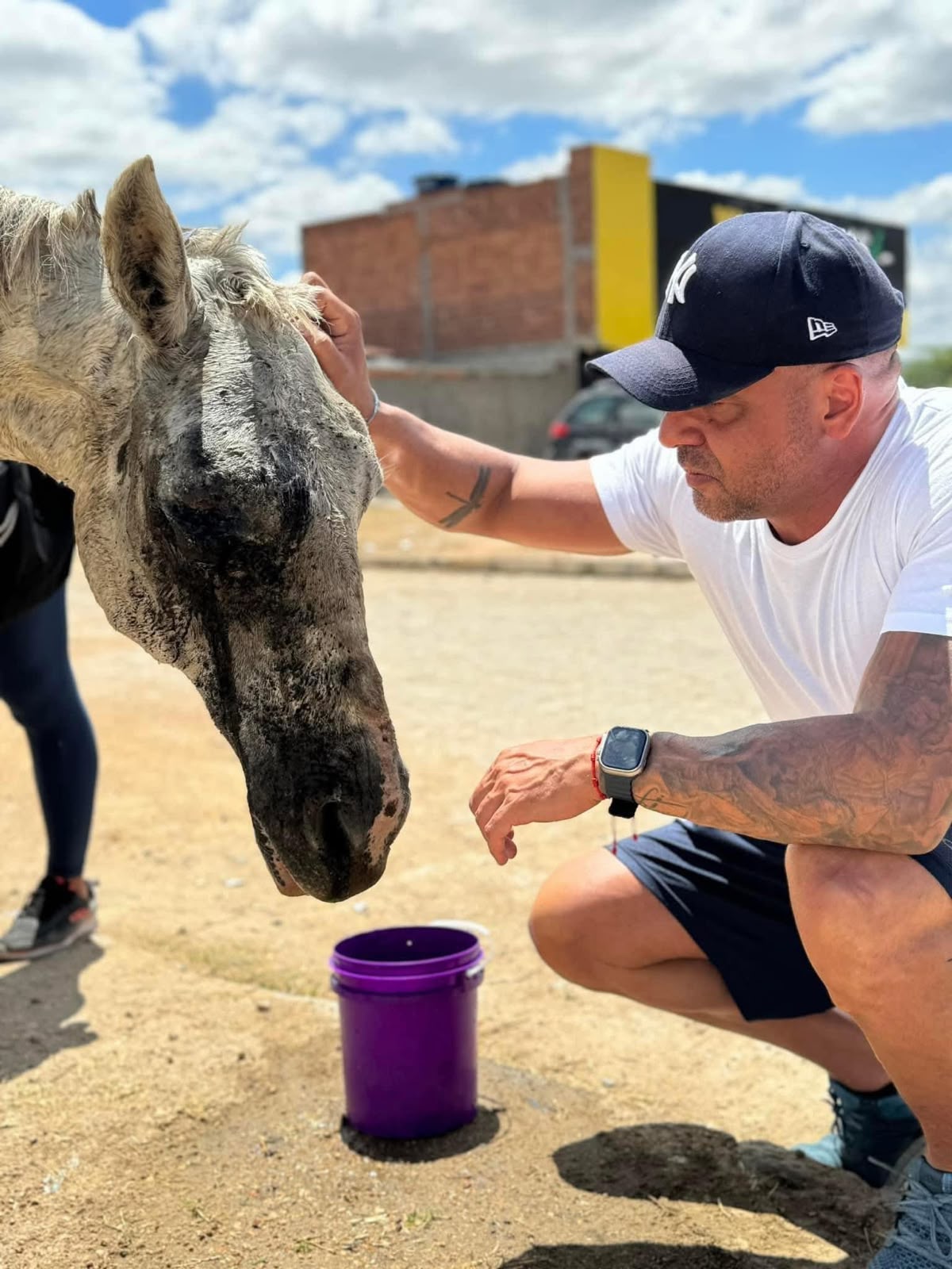 Anderson Correia intensifica combate aos maus-tratos contra animais em Caruaru