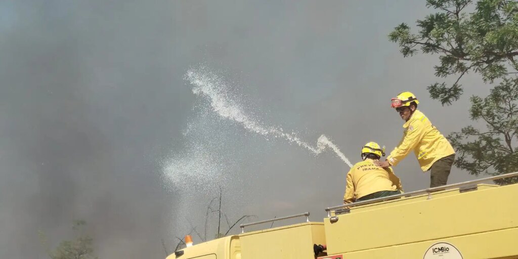 Bombeiros controlam incêndio em área de mata na UnB