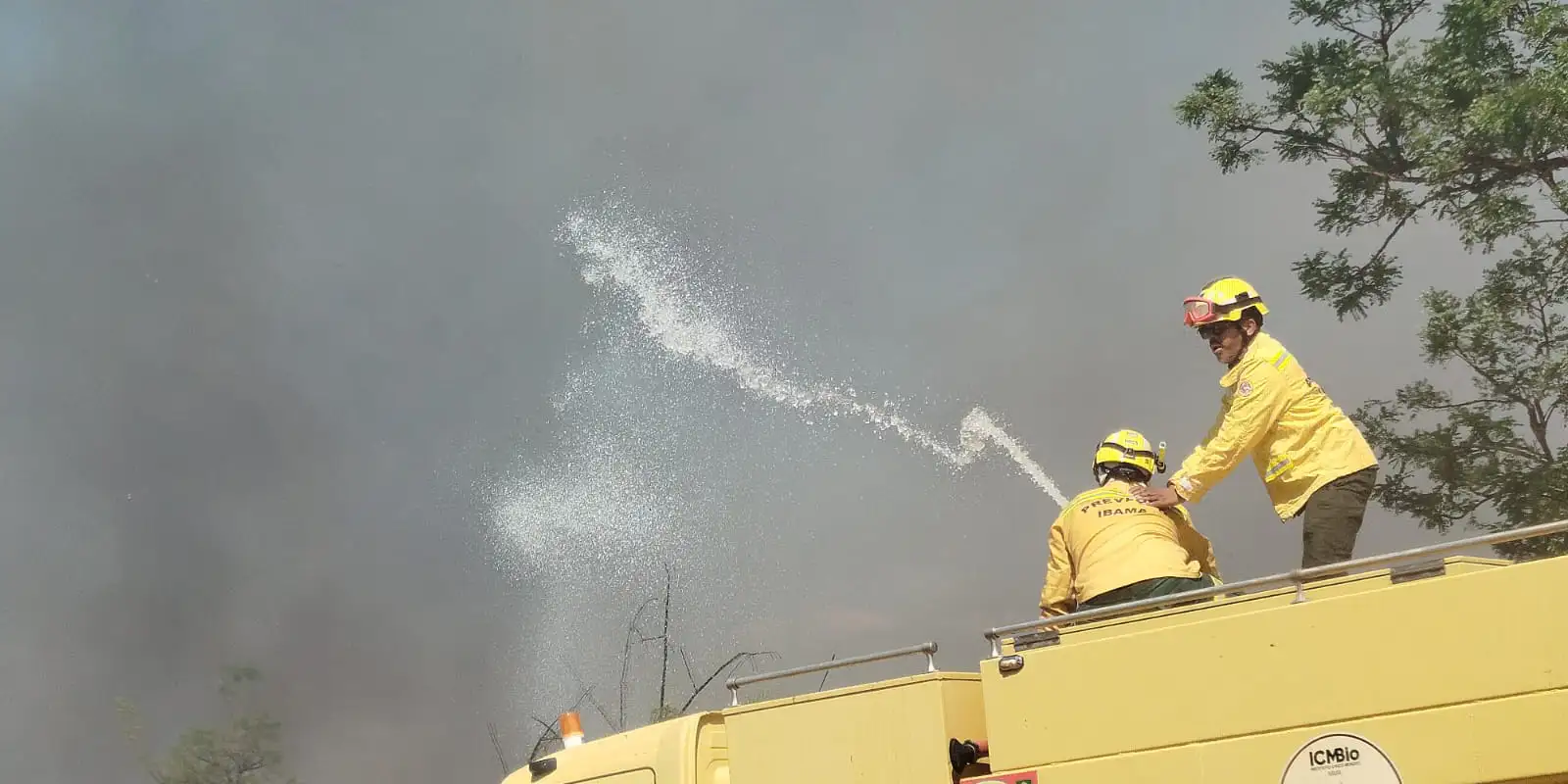 Bombeiros controlam incêndio em área de mata na UnB