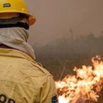 Focos de incêndio no Amazonas diminuem após ação de força-tarefa