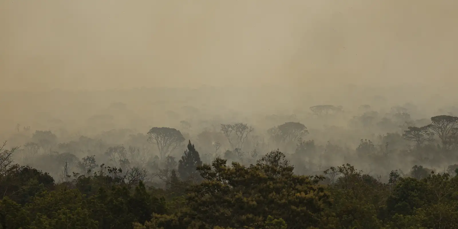 Força Nacional do SUS apoia atendimentos no Amazonas após incêndios