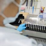 Malária: Anvisa autoriza teste em humanos de vacina 100% brasileira